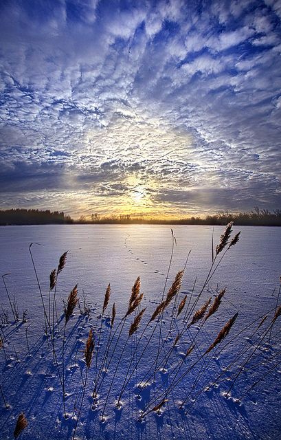 IMG_20210211_012206 (409x640, 76Kb)