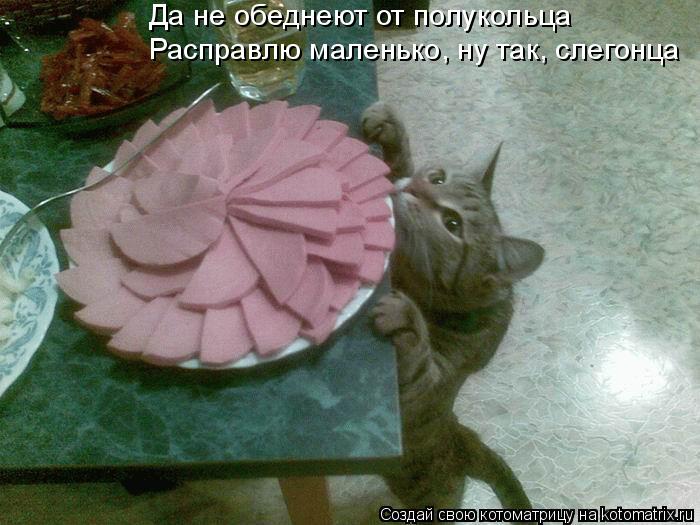4743317_kotomatritsa_Q2 (700x525, 65Kb)