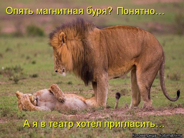 4743317_kotomatritsa_5_1_ (700x524, 74Kb)