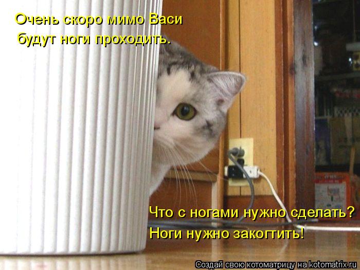 4743317_kotomatritsa_rO (700x525, 58Kb)