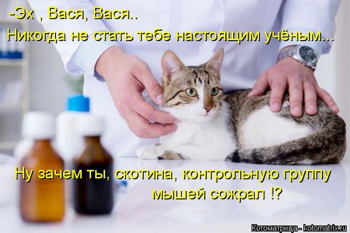 4743317_kotomatritsa_uw (700x465, 50Kb)