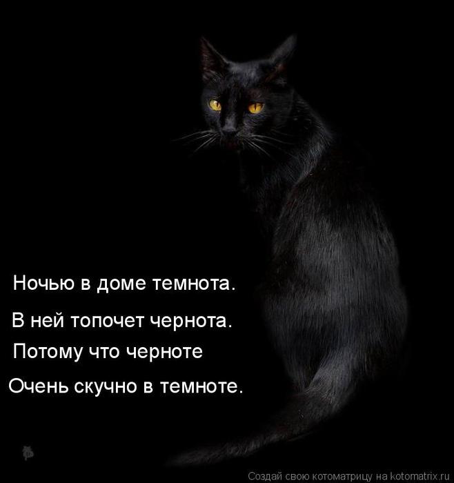 4743317_kotomatritsa_Zb (658x700, 30Kb)