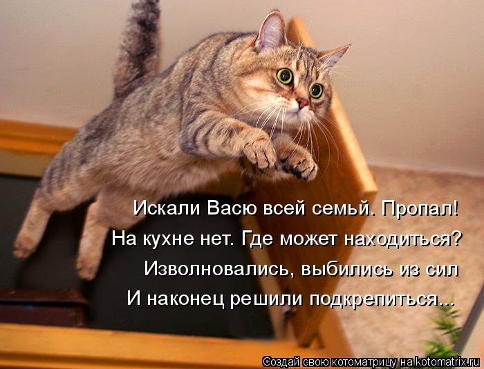 4743317_kotomatritsa_0 (700x535, 59Kb)