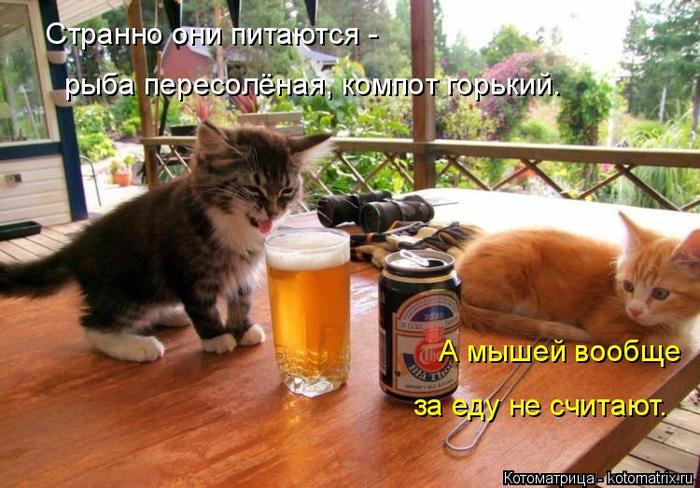 4743317_kotomatritsa_1 (700x488, 68Kb)