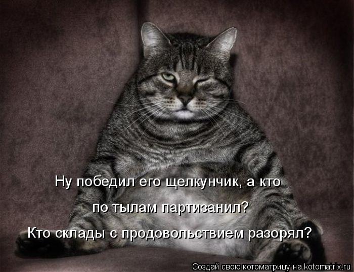 4743317_kotomatritsa_9 (700x538, 66Kb)