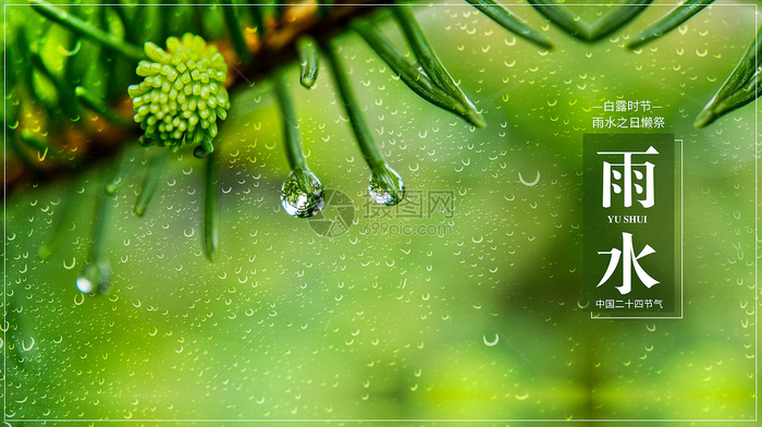 ЮШ_2156.jpg_wh1200 (700x392, 410Kb)