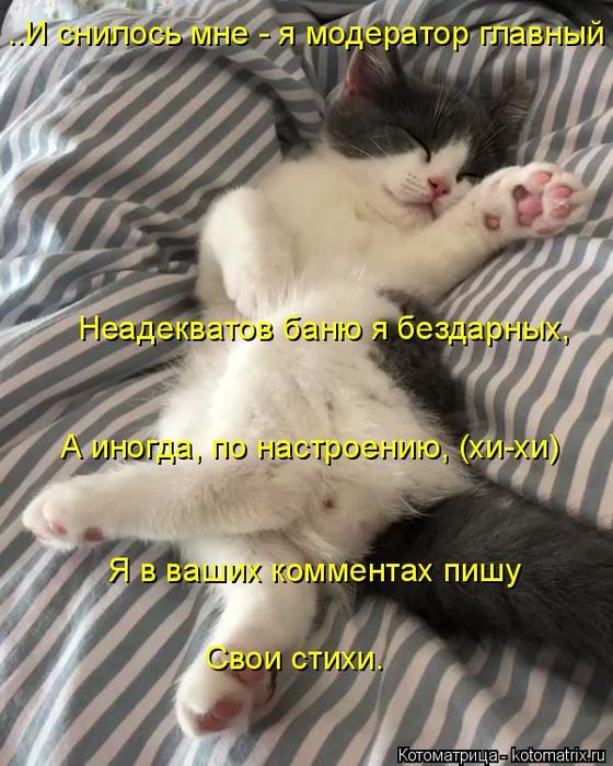 4743317_kotomatritsa_H (560x700, 71Kb)