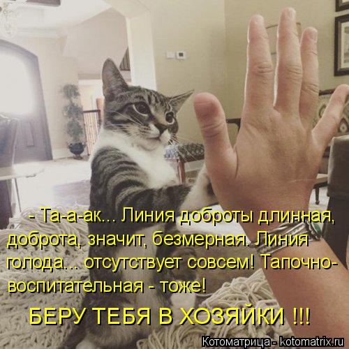 4743317_kotomatritsa_E (500x500, 54Kb)