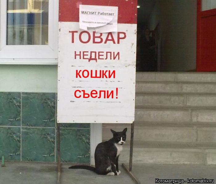 4743317_kotomatritsa_I (700x596, 45Kb)