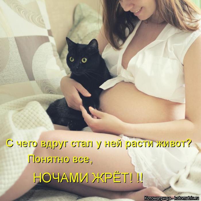 4743317_kotomatritsa_o (700x700, 56Kb)