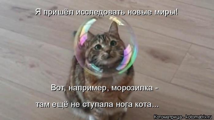 4743317_kotomatritsa_v (700x392, 30Kb)