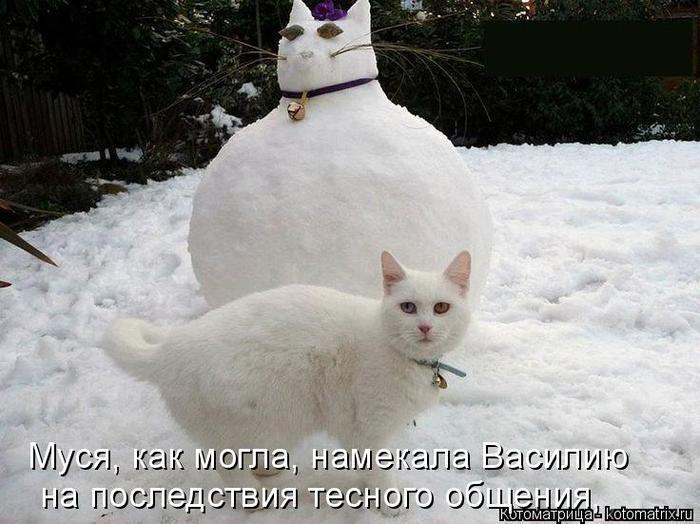 4743317_kotomatritsa_u (700x524, 58Kb)