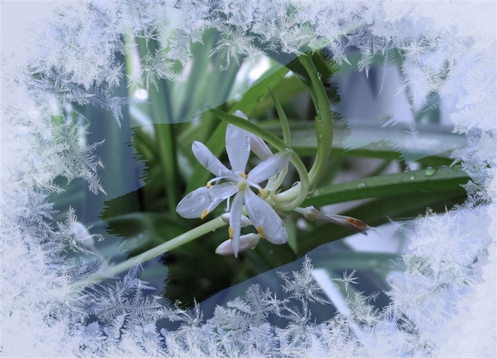 5152557_822131 (700x504, 202Kb)