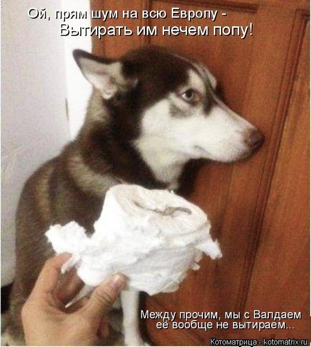 4743317_kotomatritsa_D (627x700, 61Kb)