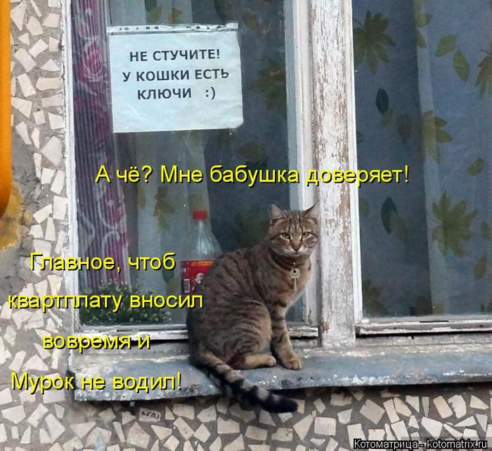 4743317_kotomatritsa_g (700x641, 86Kb)