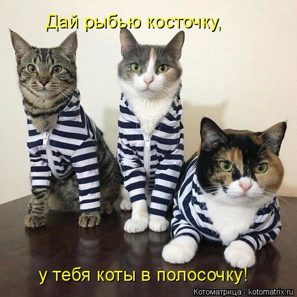 11 (604x604, 256Kb)