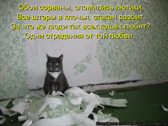 15 (640x480, 236Kb)