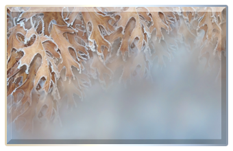 .-.- (340x220, 109Kb)