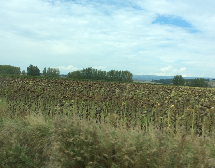 5322303_IMG_1467 (700x546, 257Kb)