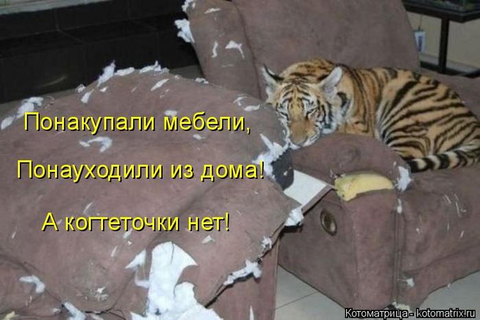 4743317_kotomatritsa_N (700x467, 46Kb)