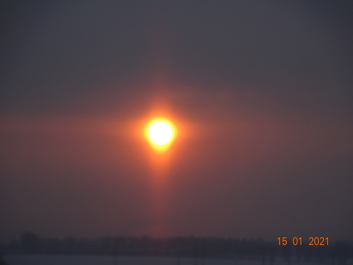 DSC00709 (700x525, 37Kb)