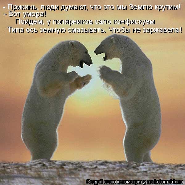 4743317_kotomatritsa_v (600x600, 49Kb)