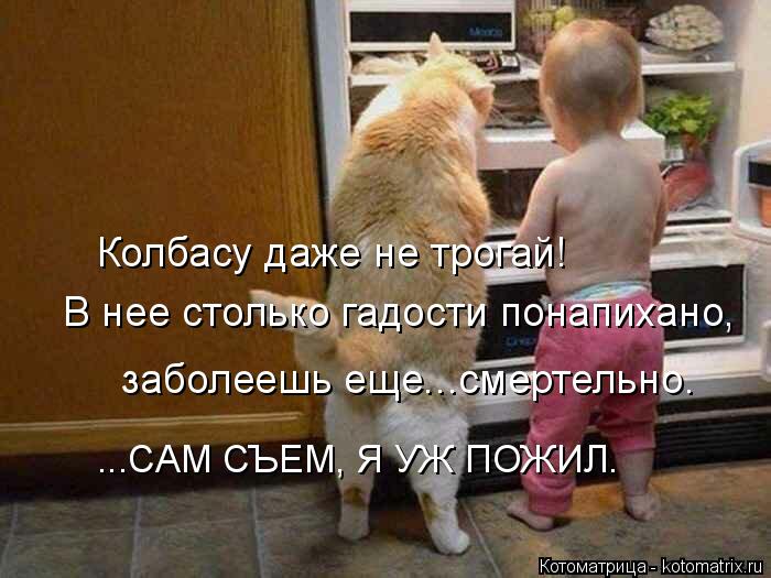 4743317_kotomatritsa_f_1 (700x525, 57Kb)