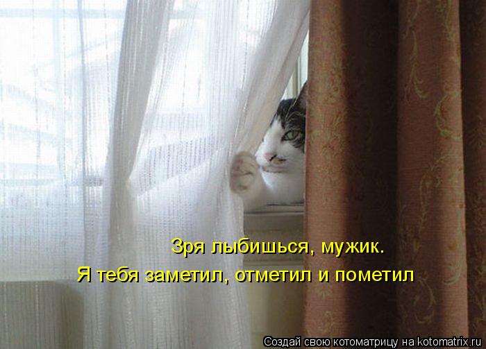4743317_kotomatritsa_f (700x503, 48Kb)