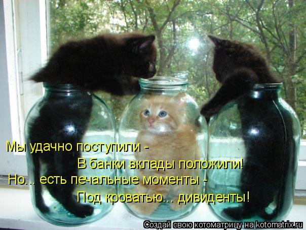 kotomatritsa_r (1) (604x453, 260Kb)