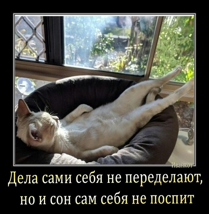 4743317_i_1_ (685x700, 105Kb)