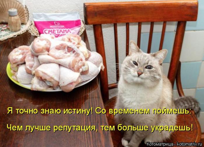 4743317_kotomatritsa_c_1 (700x504, 60Kb)