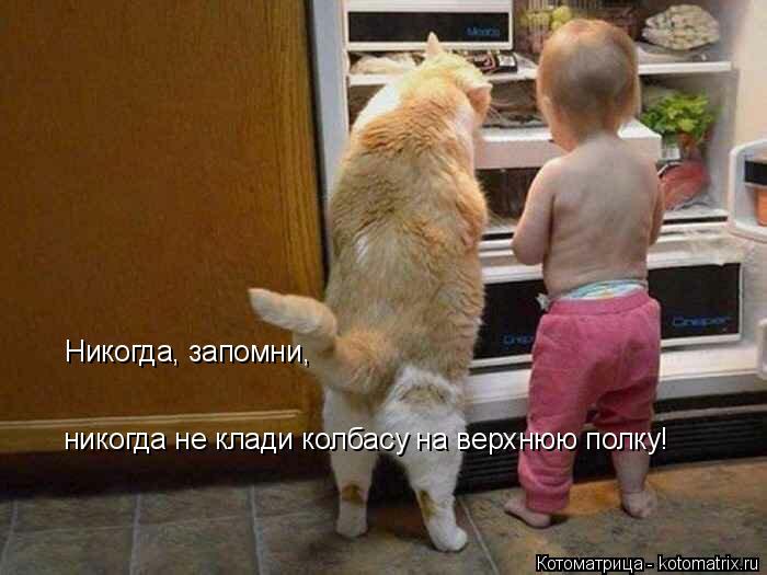 4743317_kotomatritsa_Lv (700x525, 45Kb)
