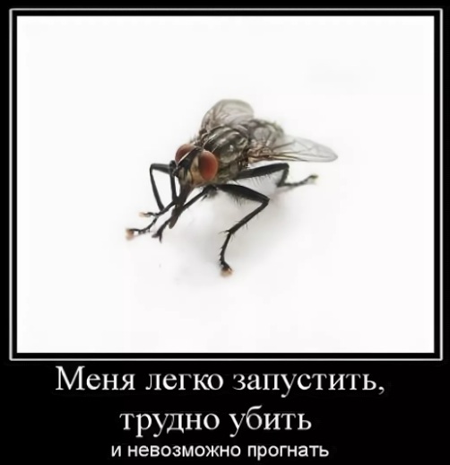 4752699_myyhi23 (502x518, 39Kb)