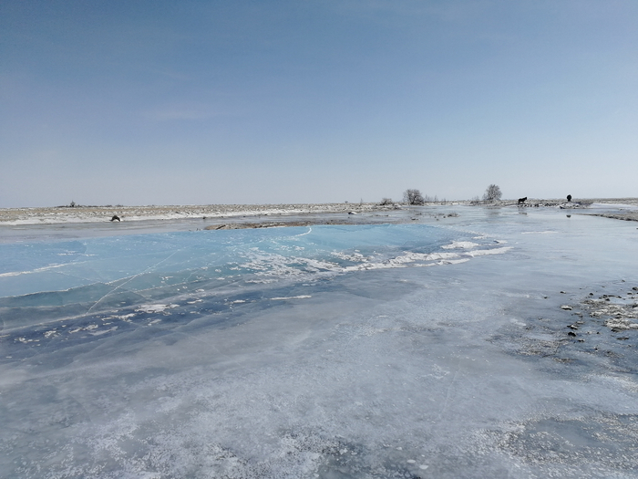 IMG_20210221_121821 (700x525, 319Kb)