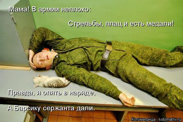 4743317_kotomatritsa_r (700x467, 58Kb)