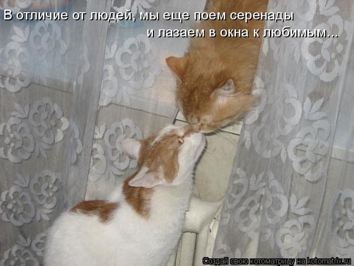 4743317_kotomatritsa_tY (700x524, 51Kb)
