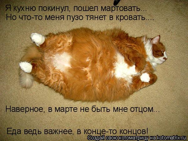 4743317_kotomatritsa_Z (600x450, 63Kb)