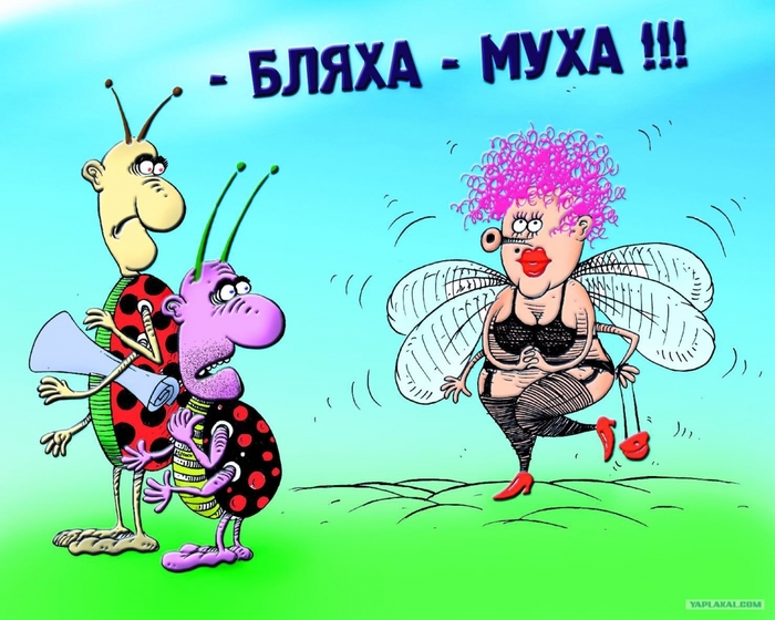 3861116_myyhi22_1yo (700x560, 266Kb)