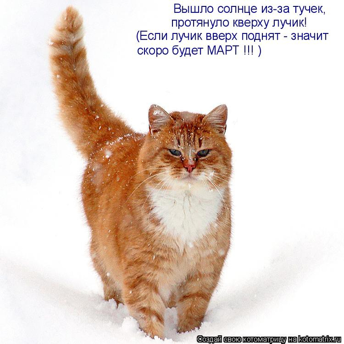 7 (700x700, 338Kb)