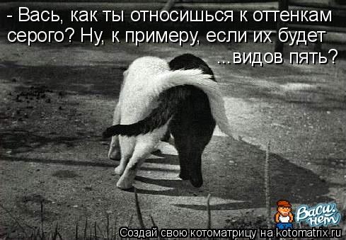 4743317_kotomatritsa_Nd (489x339, 42Kb)