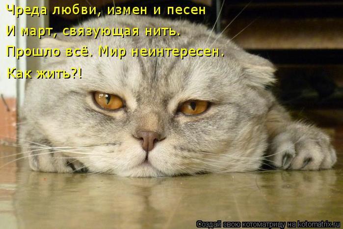 4743317_kotomatritsa_n (700x467, 55Kb)