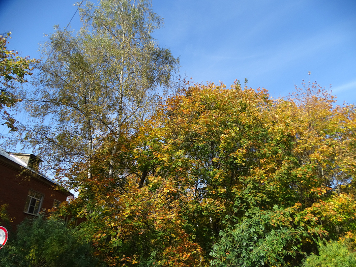 DSC00011 (700x525, 661Kb)