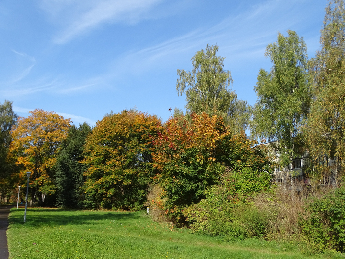 DSC00016 (700x525, 562Kb)