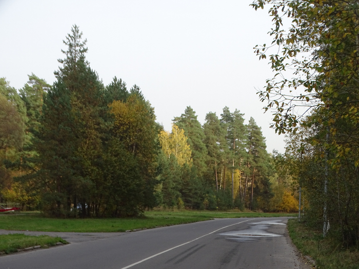 DSC00022 (700x525, 392Kb)