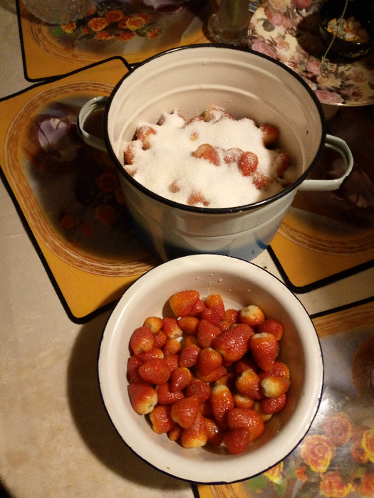 IMG_20201010_203256_614 (525x700, 436Kb)