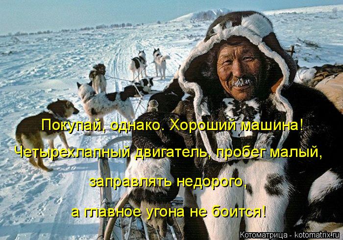 4743317_kotomatritsa_0 (700x491, 92Kb)