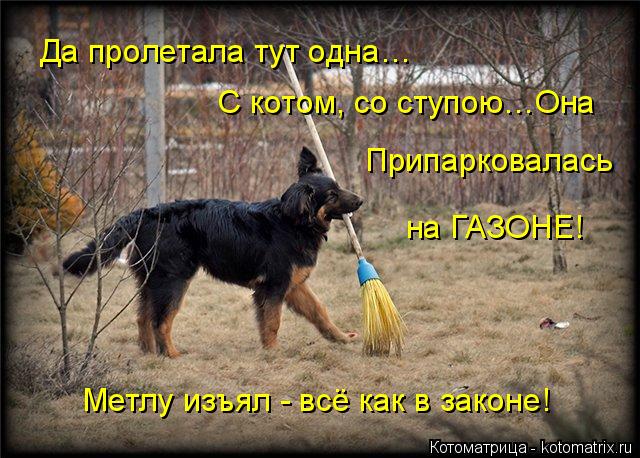 4743317_kotomatritsa_3r (640x458, 75Kb)