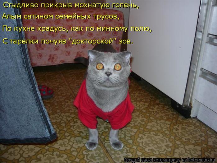 4743317_kotomatritsa_a (700x524, 63Kb)