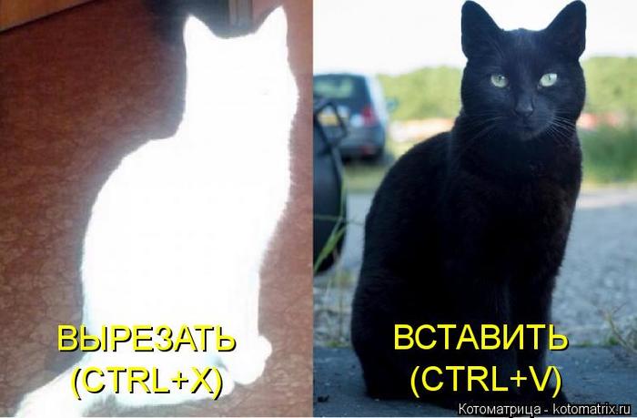 4743317_kotomatritsa_Db (700x459, 37Kb)