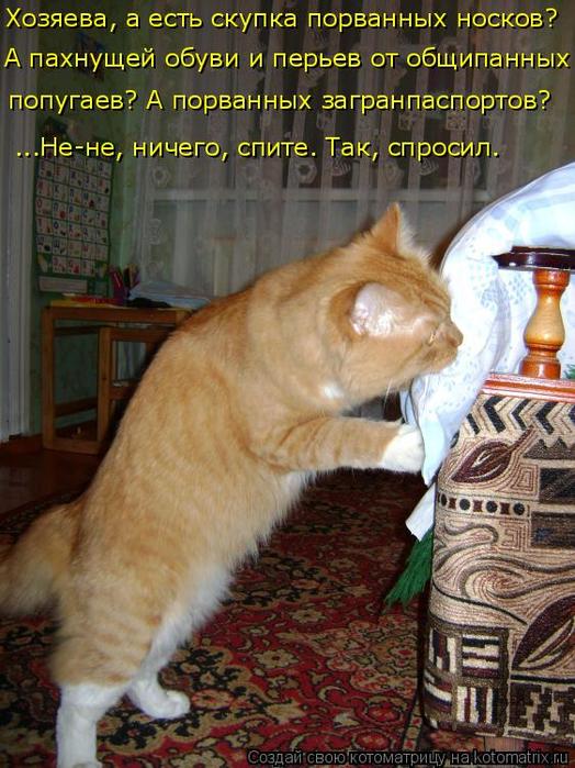 4743317_kotomatritsa_K5 (524x700, 74Kb)